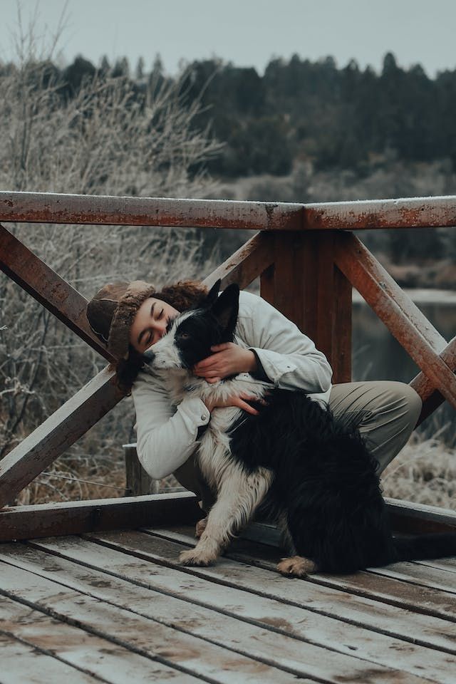 Is it safe to kiss your pet?