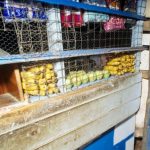 Balancing stricter regulation of informal traders with supporting the local economy