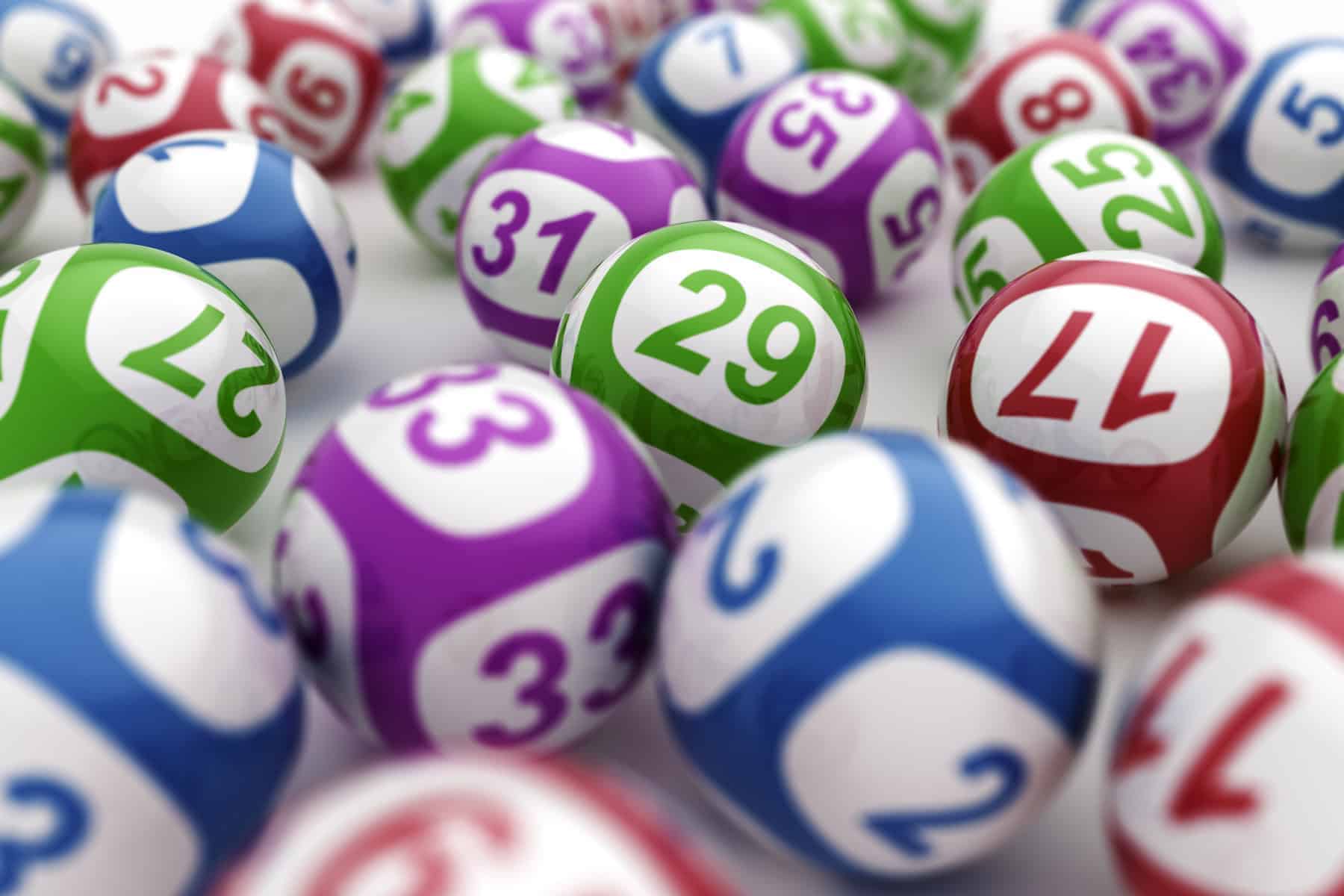 Daily Lotto results: Wednesday, 13 November 2024