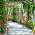 10 proven ways spending one hour in a park can improve your health​