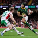 Springbok player ratings in 45-12 win against Wales in Cardiff