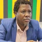 ANC’s leaders in KZN could become Black Friday bargains for MK party
