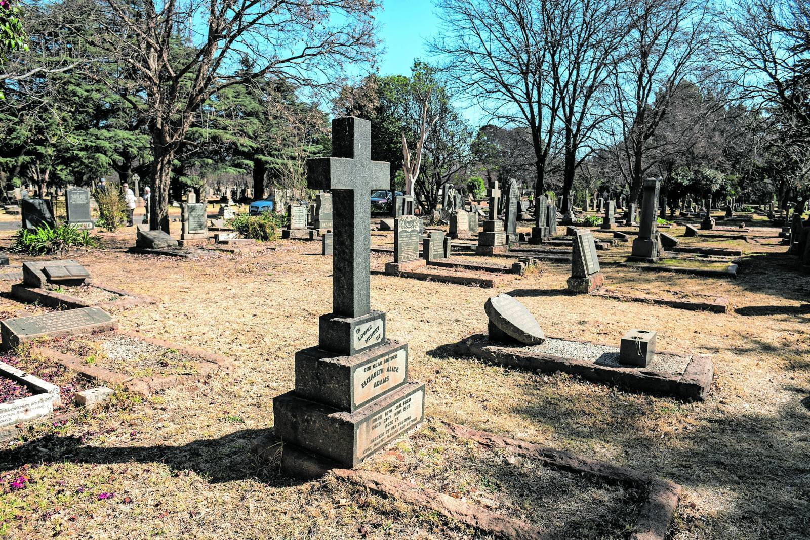 Breathing life into Joburg’s dying Brixton cemetery