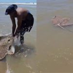 EISH WENA: Mzansi applauds brave man rescuing deadliest sea creature