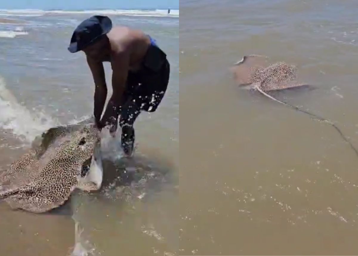 EISH WENA: Mzansi applauds brave man rescuing deadliest sea creature