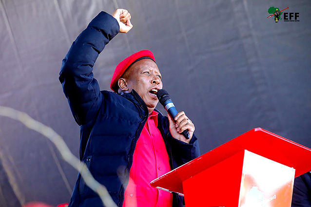 Malema: Careerism behind calls for creation of more structures 