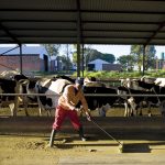 The land question remains a pressing and persistent challenge
