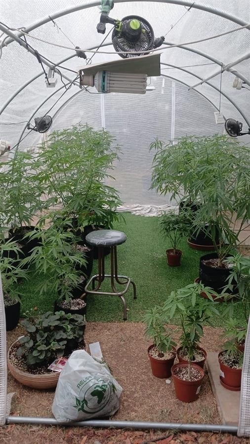Snl24 | Dagga lab lands man in hot water!