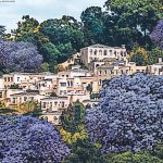 Westcliff, the rich ridge with a view