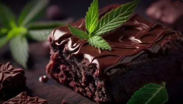 5 reasons to think twice before trying a weed brownie