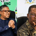 ANC to take action against populist leaders over BELA Act