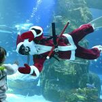 24 hours in pictures, 23 December 2024