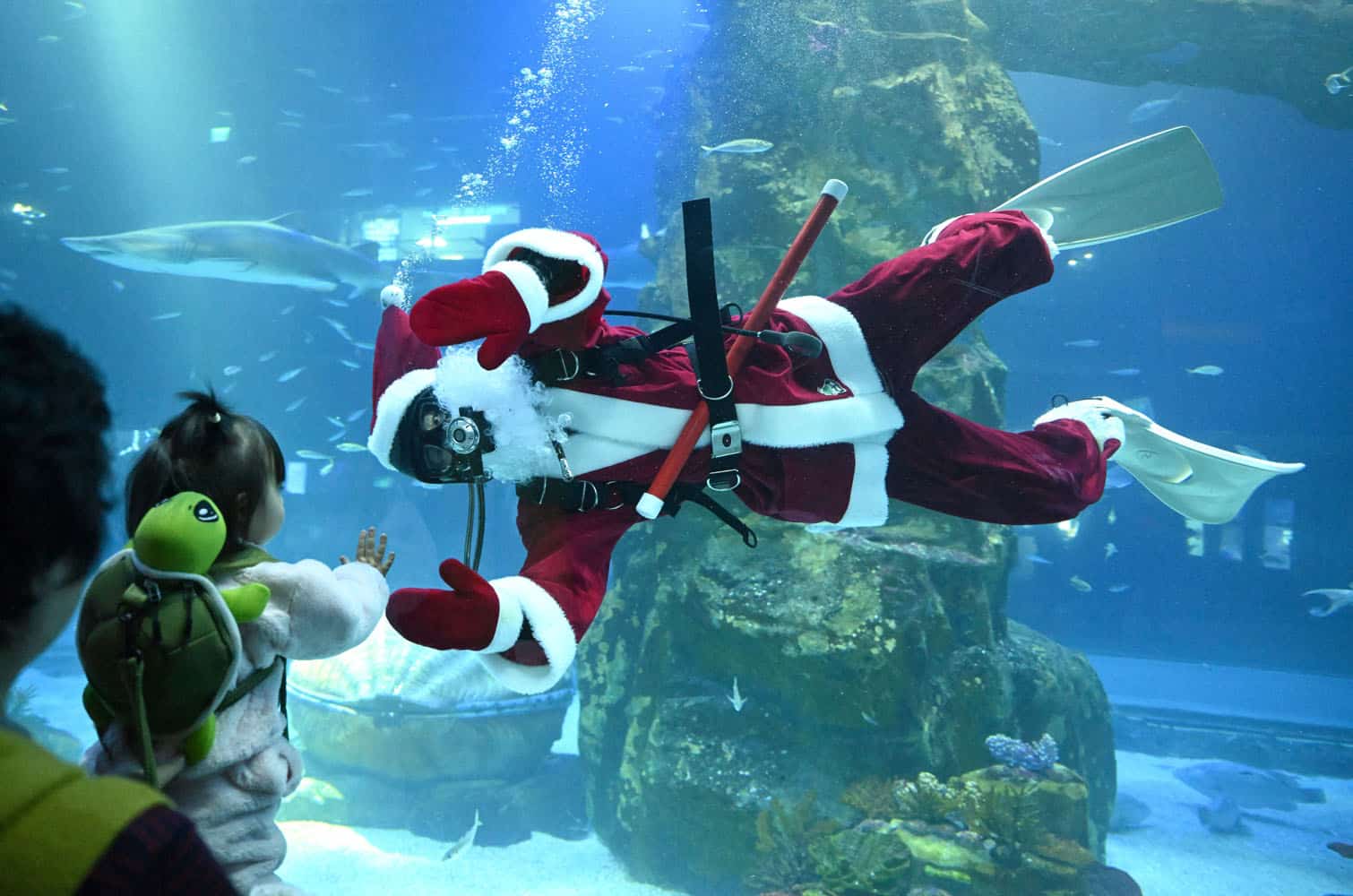 24 hours in pictures, 23 December 2024