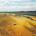 Vaal Dam’s levels are plummeting