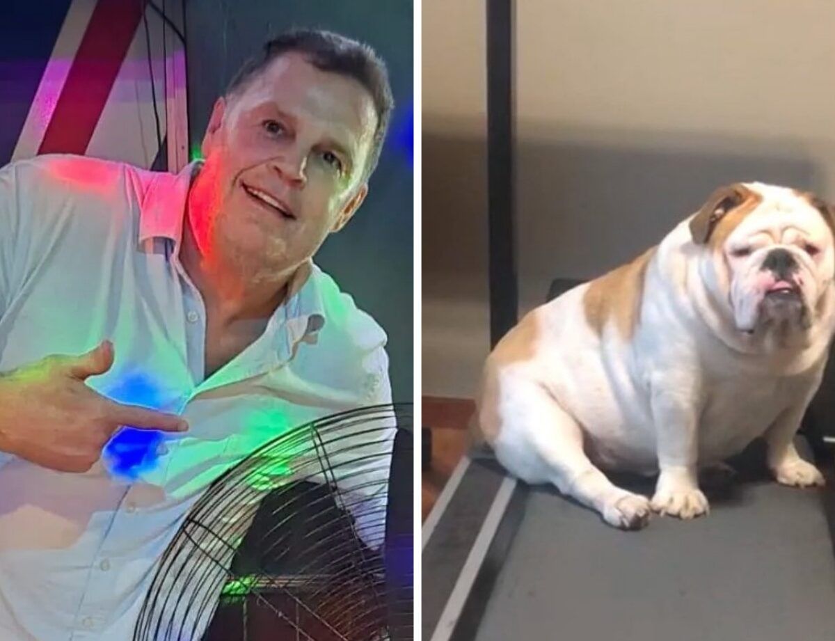 ‘So cute!’ – Rassie Erasmus’ post of his dog Frank gets fans excited