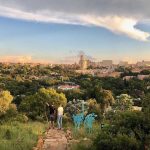 Explore the hidden gems of Melville Koppies: Prices and route options