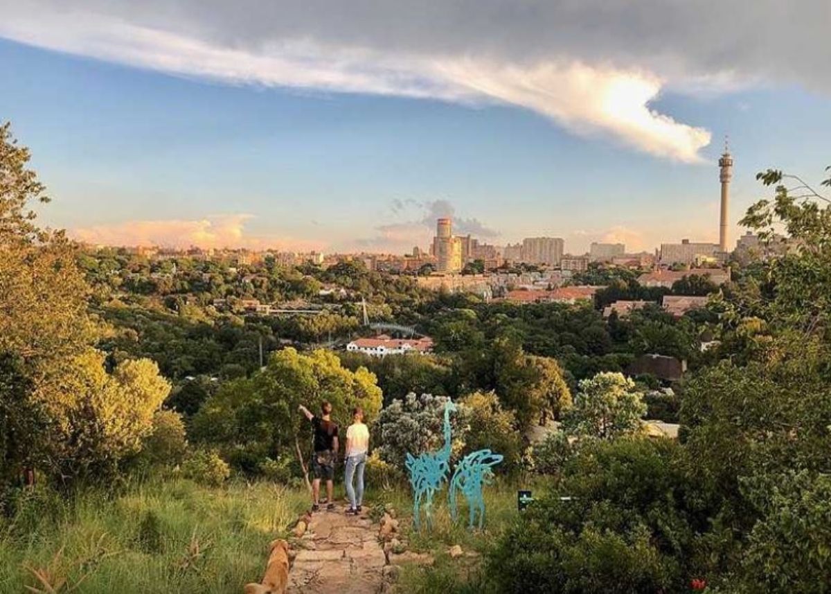 Explore the hidden gems of Melville Koppies: Prices and route options