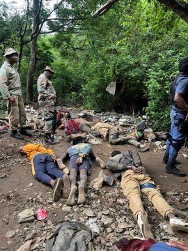 Mpumalanga cops arrest 19 zama zama suspects, seize firearms