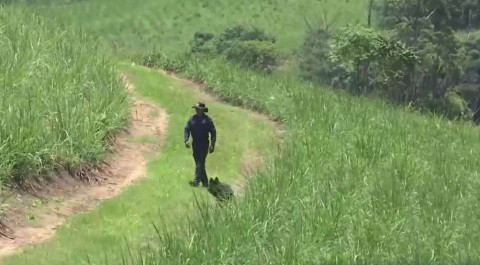 Police recover toddler’s body