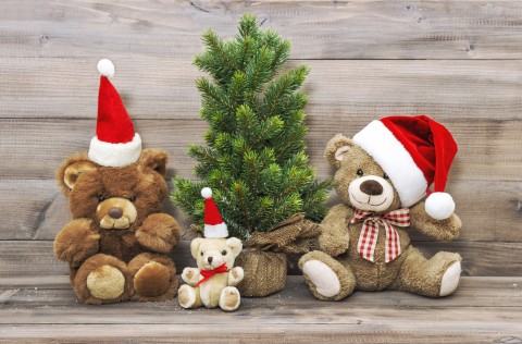 Discussion | Festive Season | Surviving Christmas day alone