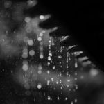 Weather WARNING: Disruptive rains to affect these areas in KZN