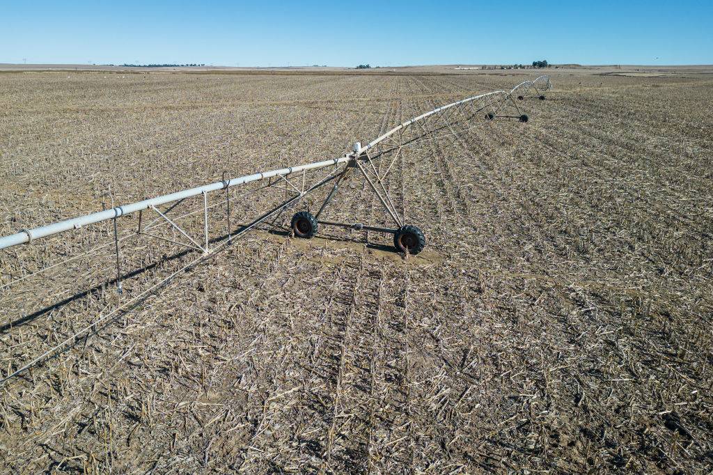 South Africa’s agriculture to recover in 2025