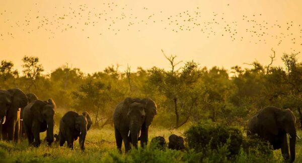 4 places you must visit in beautiful Mpumalanga