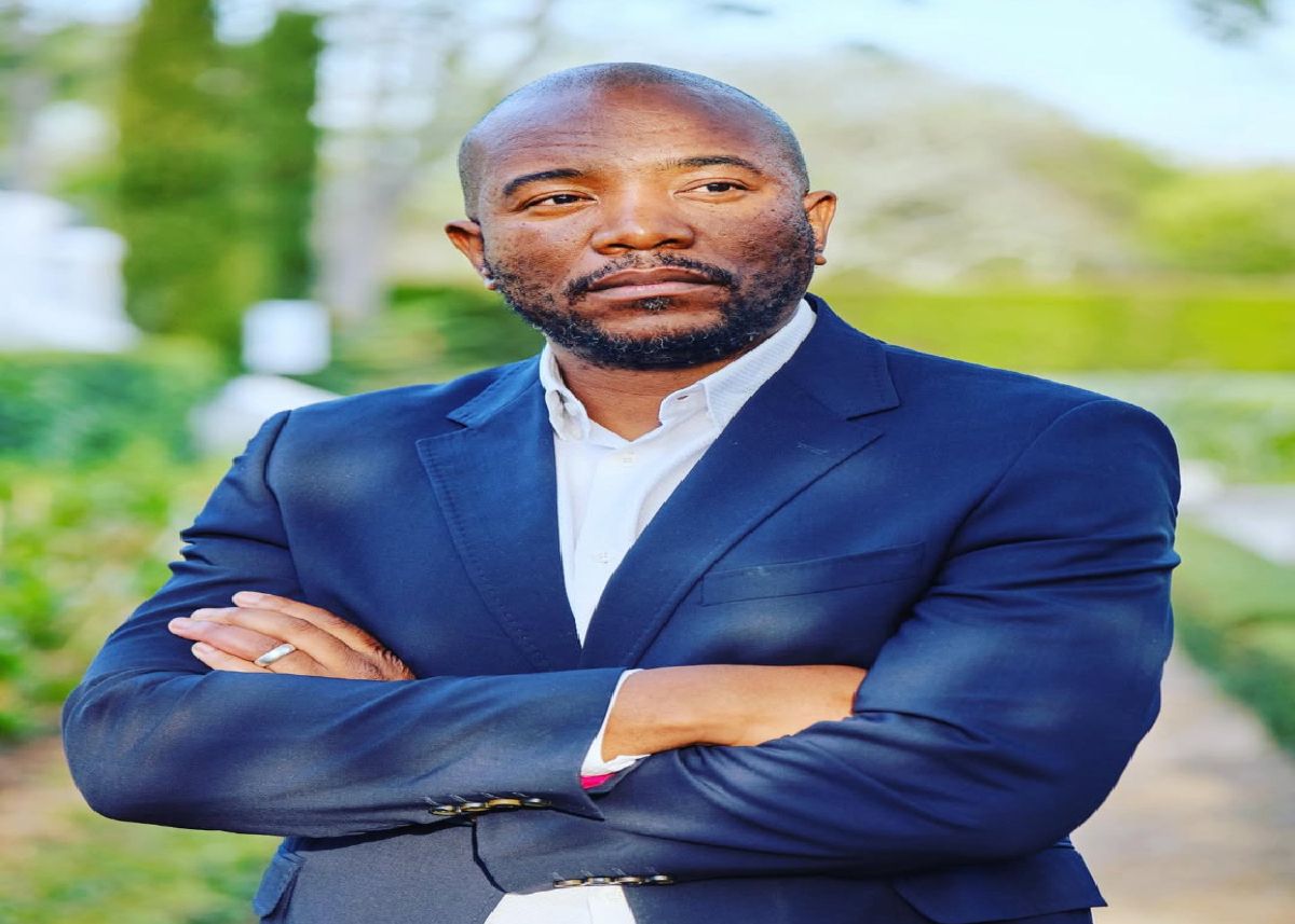 ‘30% isn’t enough:’ Mmusi Maimane calls for increase in pass mark