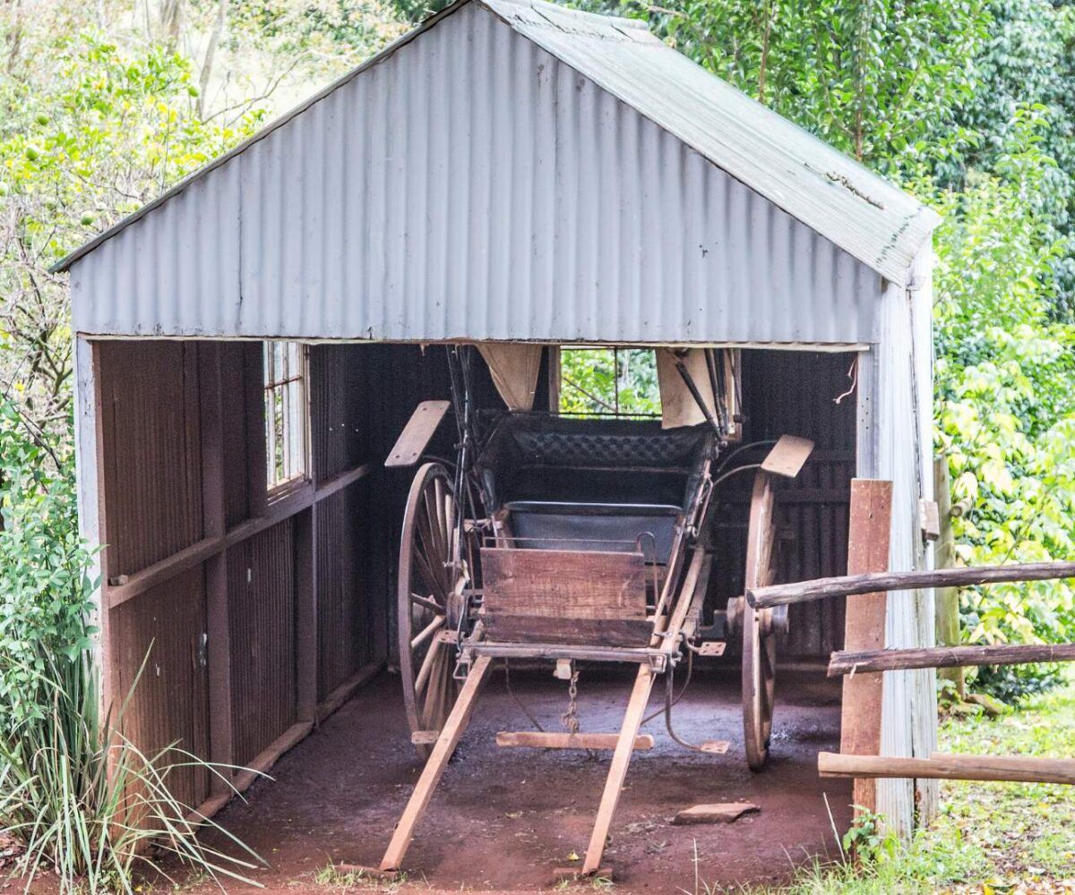 Unusual things you have to see when visiting Mpumalanga