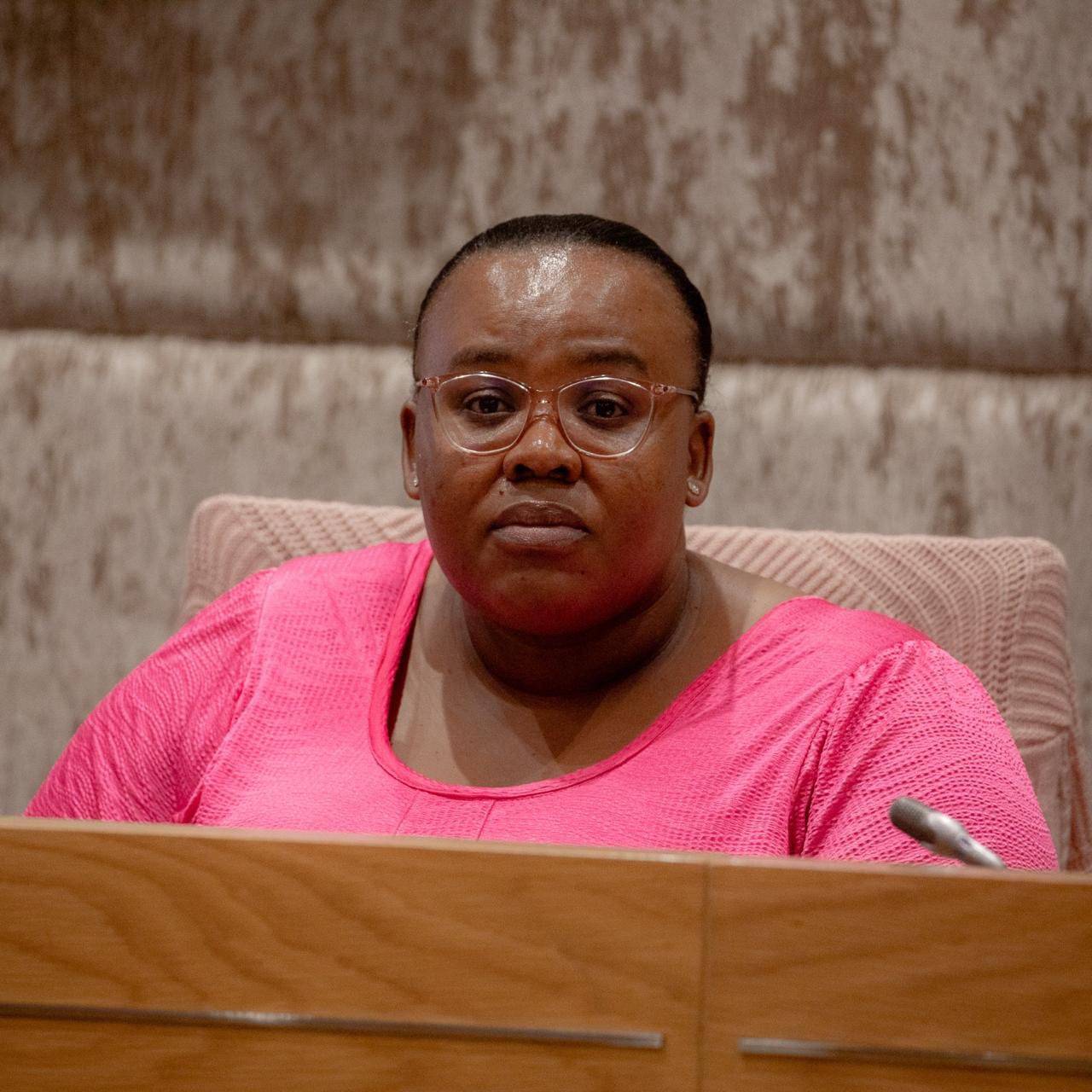 Overcrowding in SA prisons exacerbated by ‘huge number of foreign nationals’