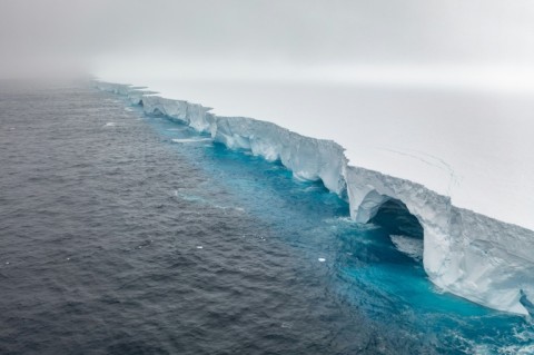 ‘White wall’ of ice drifts toward remote penguin haven