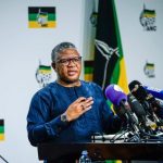 ‘DA coming at ANC like streetfighters’ — Fikile Mbalula