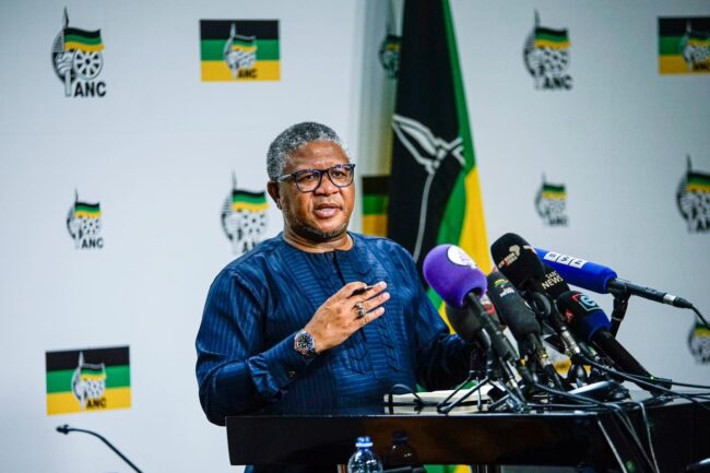 ‘DA coming at ANC like streetfighters’ — Fikile Mbalula