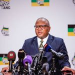 Mbalula: Expropriation is about transformation, not ‘swart gevaar’