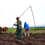 Ramaphosa’s Sona fails to address illegal mining, land reform