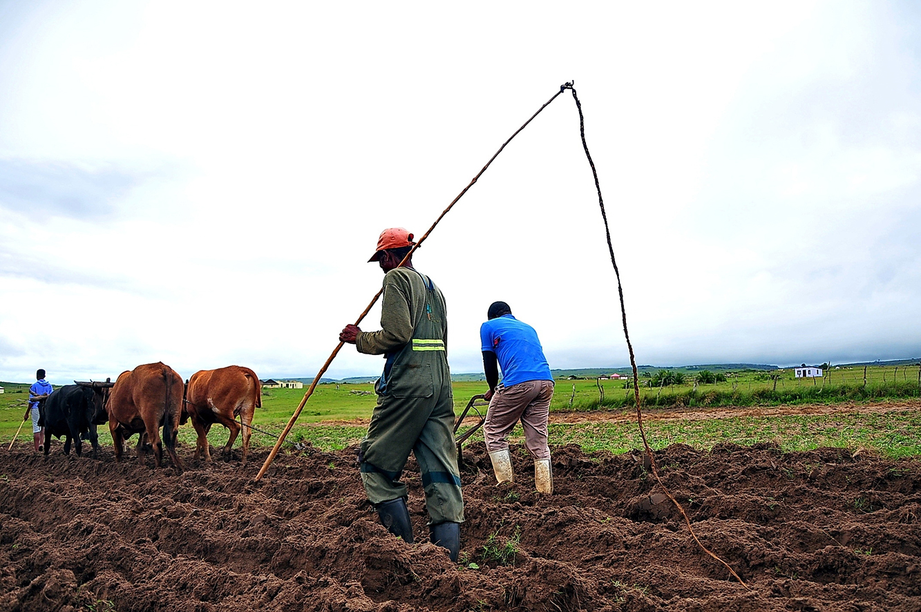 Ramaphosa’s Sona fails to address illegal mining, land reform