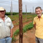 Email servers crash as 20 000 white South Africans query US resettlement