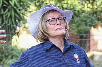 DA wants court to nullify Expropriation Act in its entirety