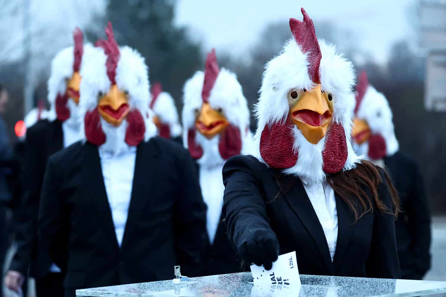 24 hours in pictures, 11 February 2025