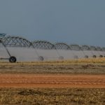 SA-US relations | Agriculture sector could take big hit