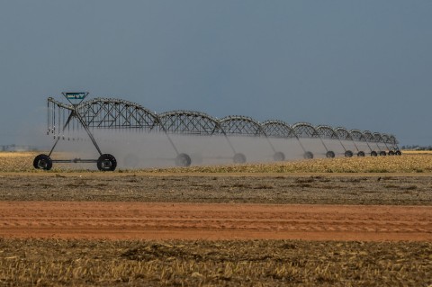 SA-US relations | Agriculture sector could take big hit