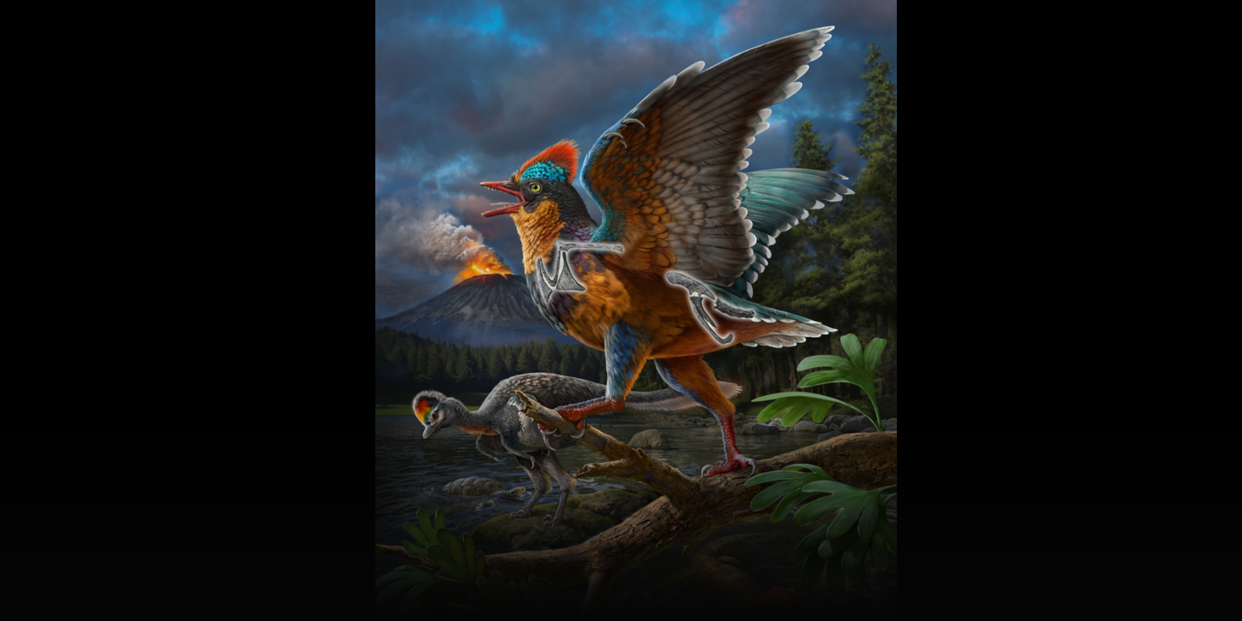 New Fossil in China Pushes Bird Origins Back 20 Million Years