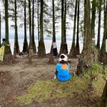 What Drives China’s Tree Huggers?