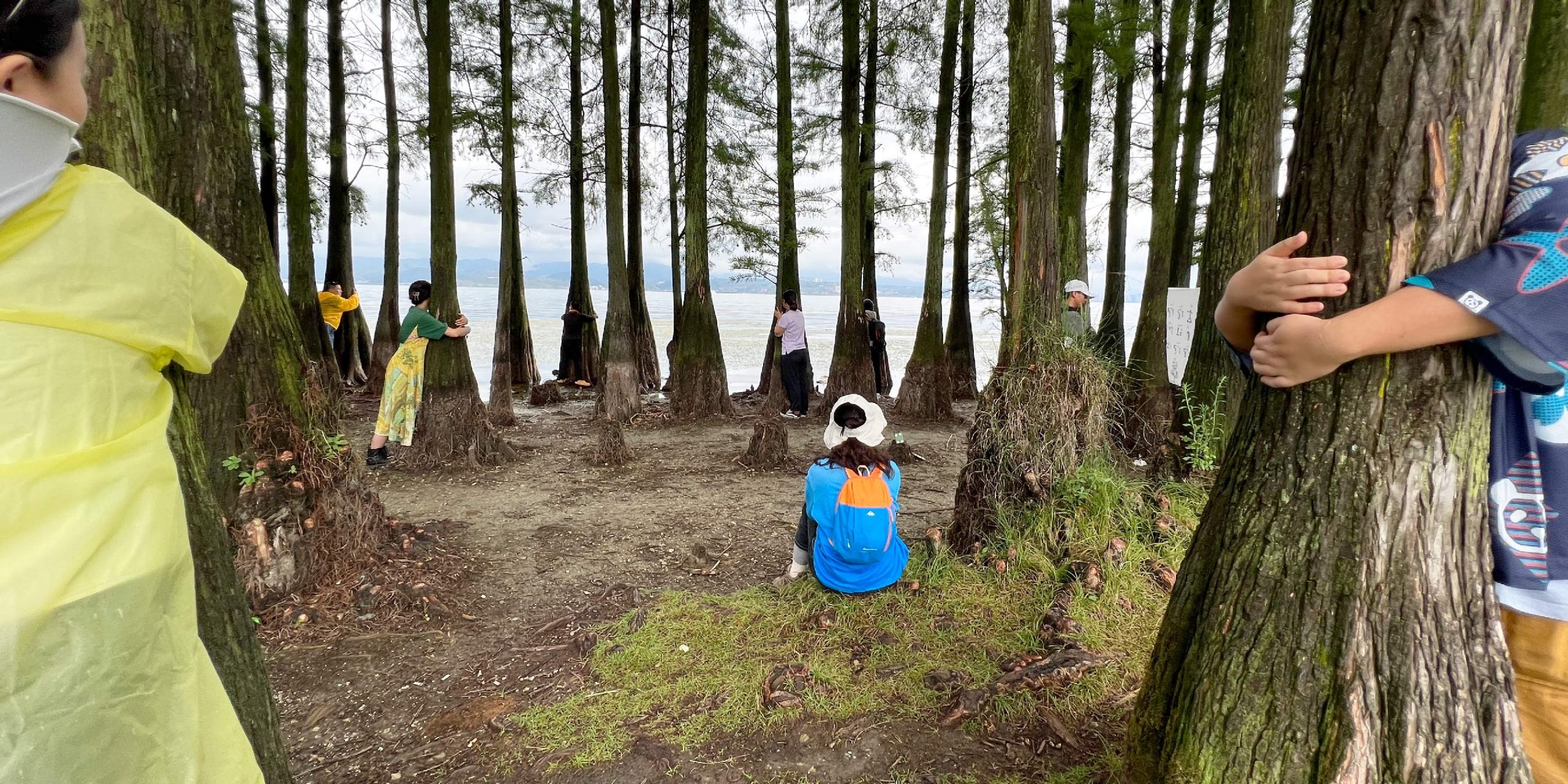 What Drives China’s Tree Huggers?