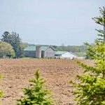 Is the Expropriation Act a solution to South Africa’s land reform challenges?