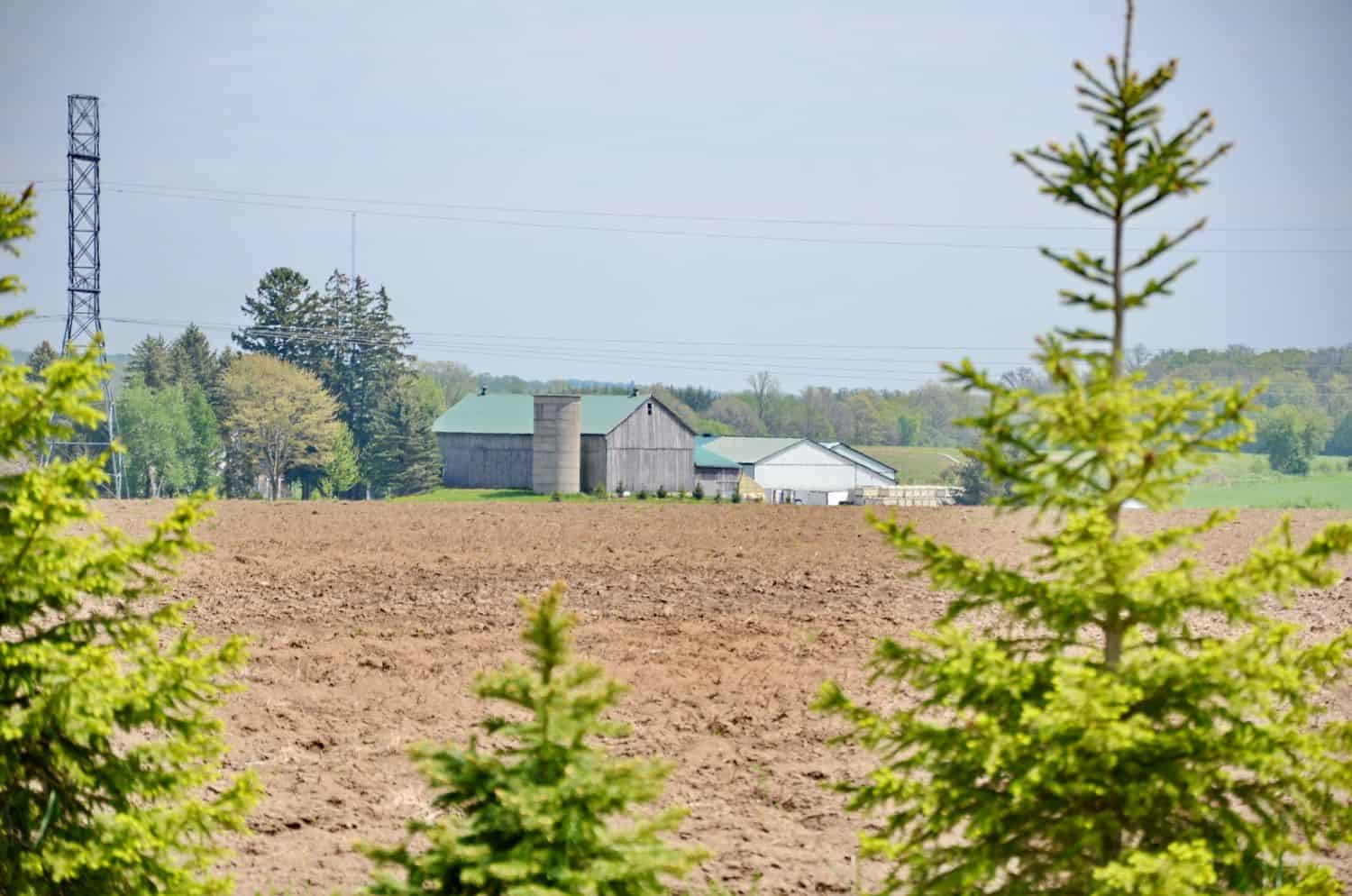 Is the Expropriation Act a solution to South Africa’s land reform challenges?