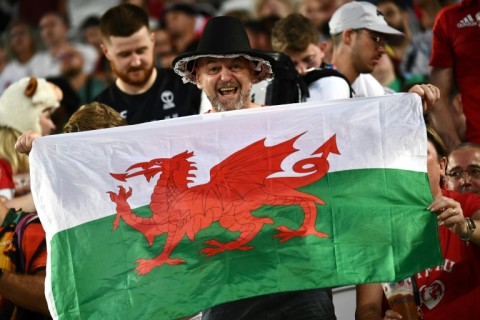 Wales’ rugby woes