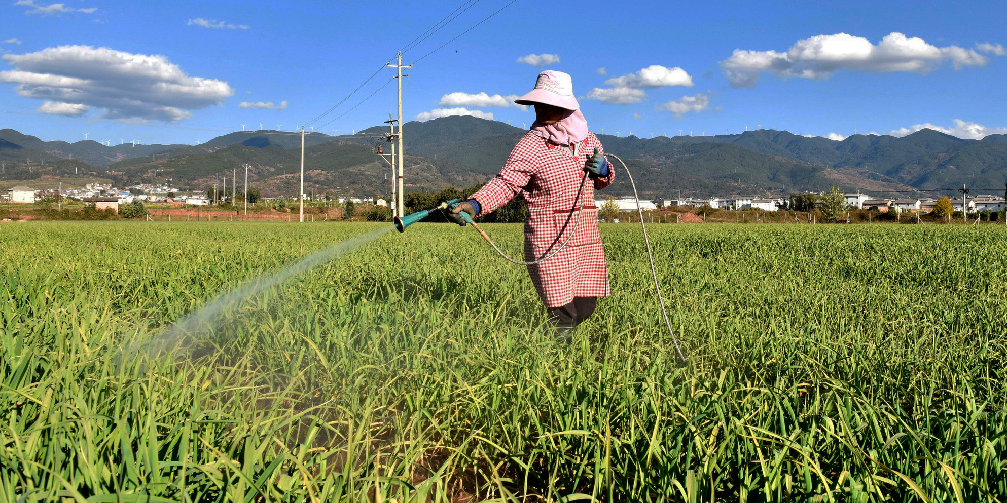 New China-Led Study Links Pesticides to Massive Ecological Damage