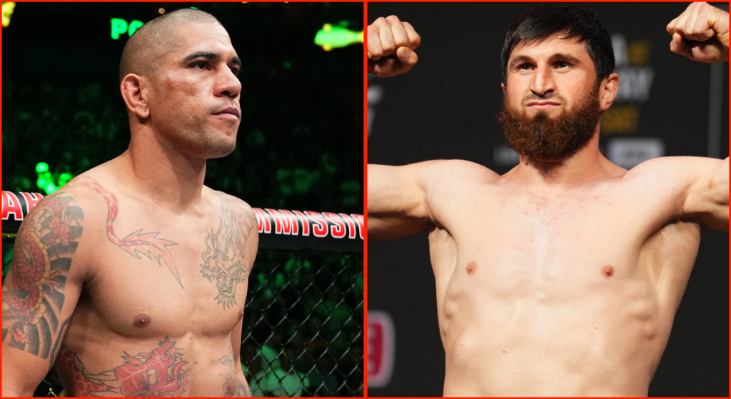 Alex Pereira vs Magomed Ankalaev Bloody Elbow staff predictions highlight clear UFC 313 favorite