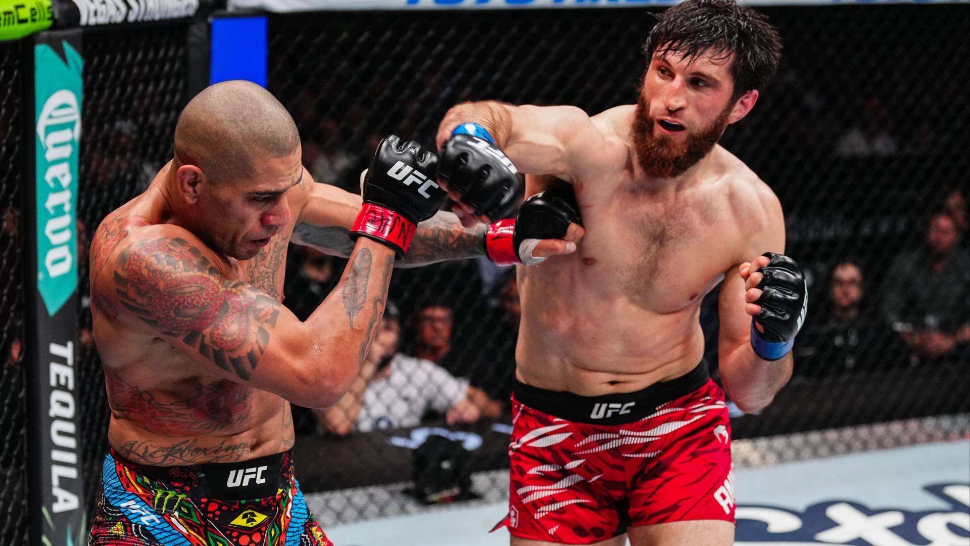 Magomed Ankalaev defeats Alex Pereira in tight decision win at UFC 313 to derail future Jon Jones fight